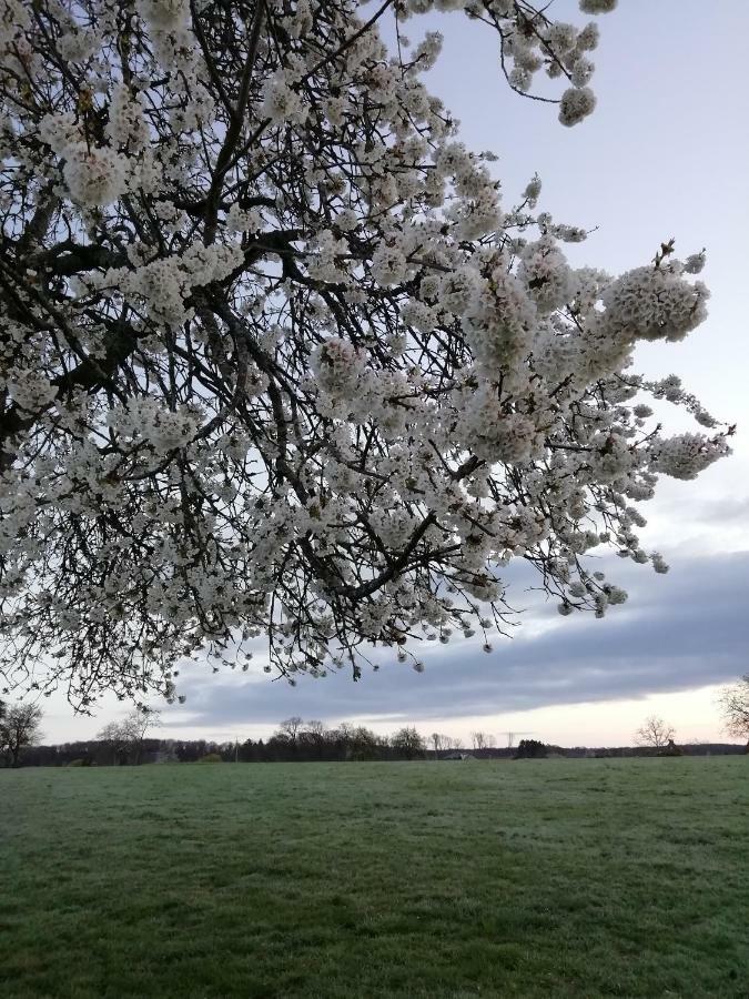 Gite Rural Les Maires D'Avaux Saint-Bresson Exteriér fotografie